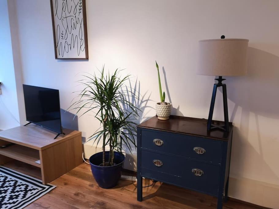 2 Bed Flat, Bounds Green, Piccadilly Line, London N11 Exteriör bild